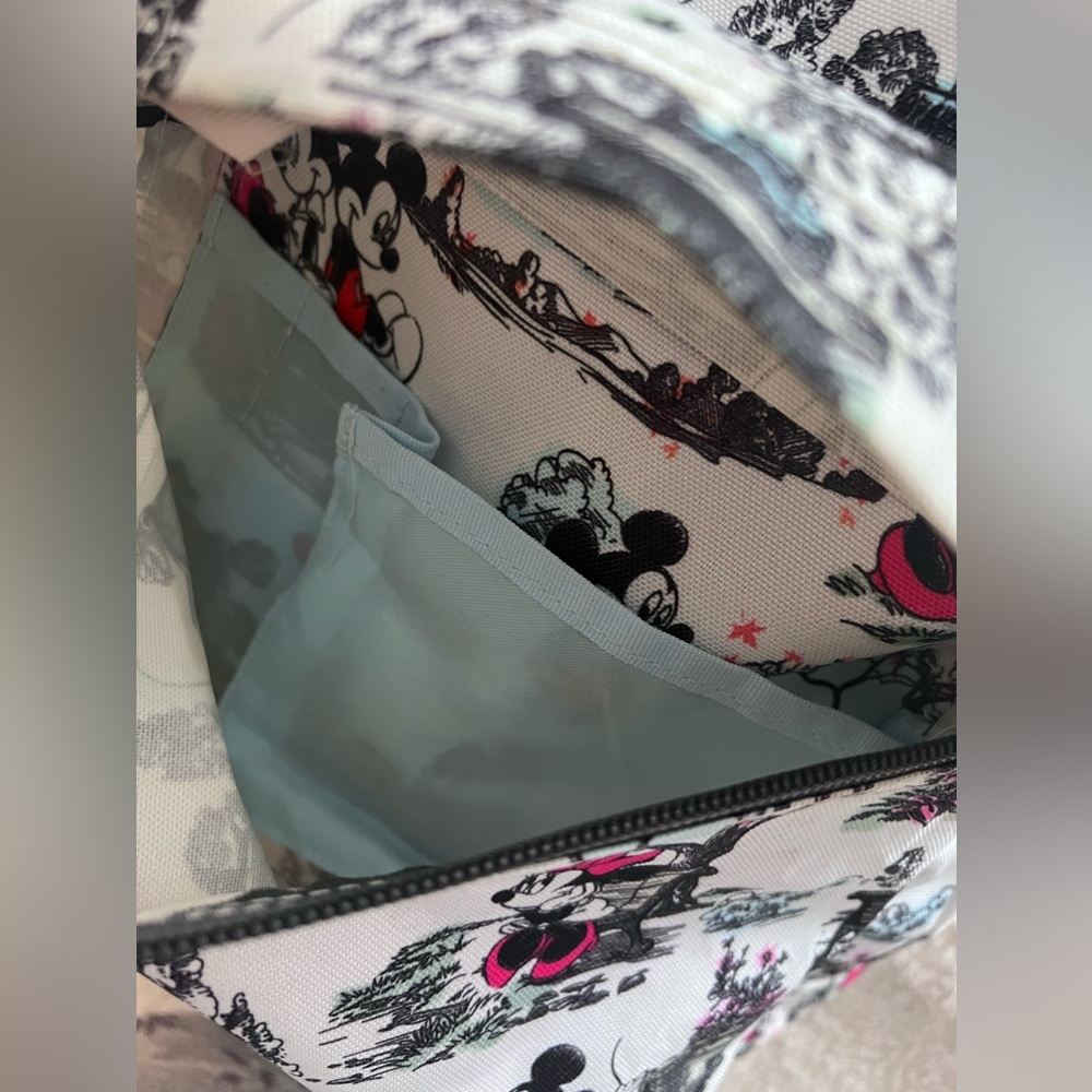 Disney Jansport ‘Day in the Park’ Backpack - Picture 4 of 11